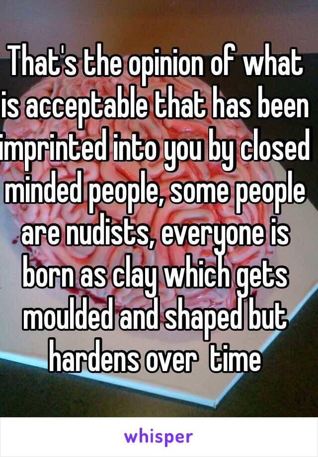 That's the opinion of what is acceptable that has been imprinted into you by closed minded people, some people are nudists, everyone is born as clay which gets moulded and shaped but hardens over  time 