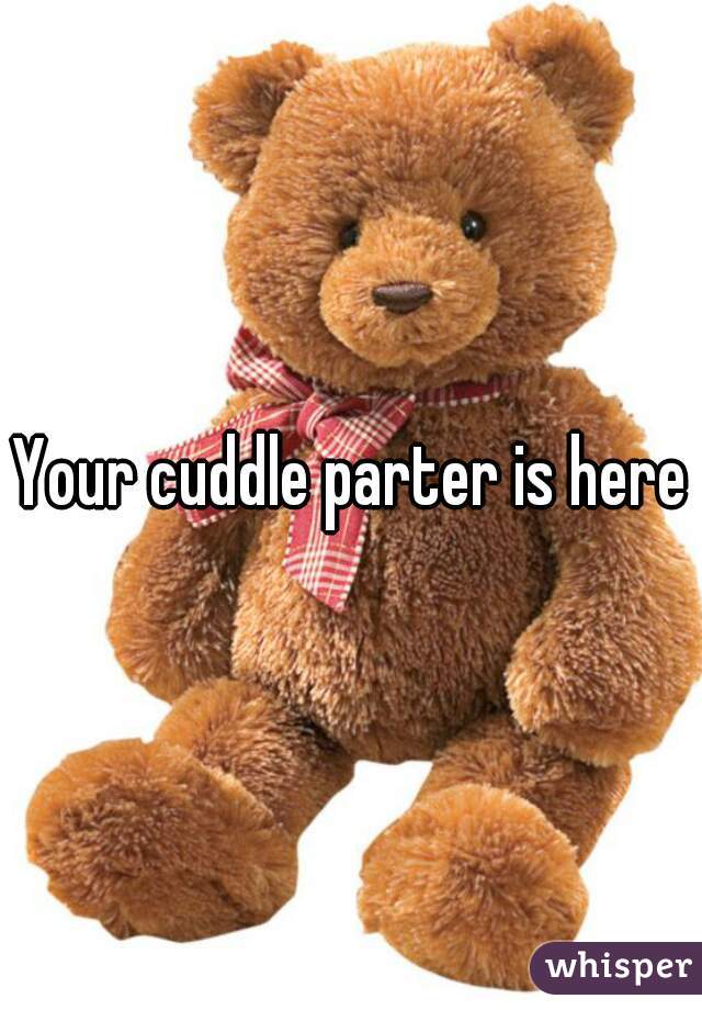 Your cuddle parter is here