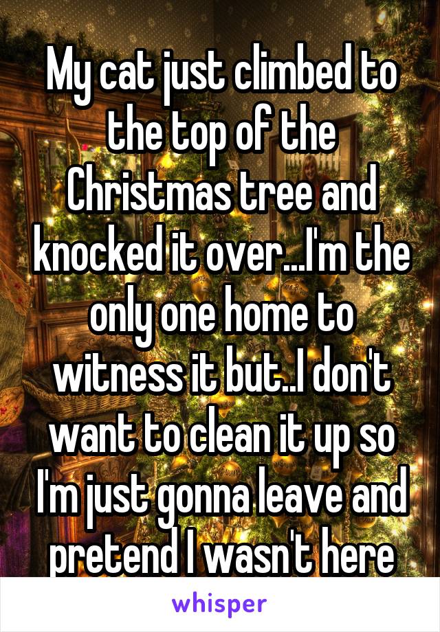 My cat just climbed to the top of the Christmas tree and knocked it over...I'm the only one home to witness it but..I don't want to clean it up so I'm just gonna leave and pretend I wasn't here