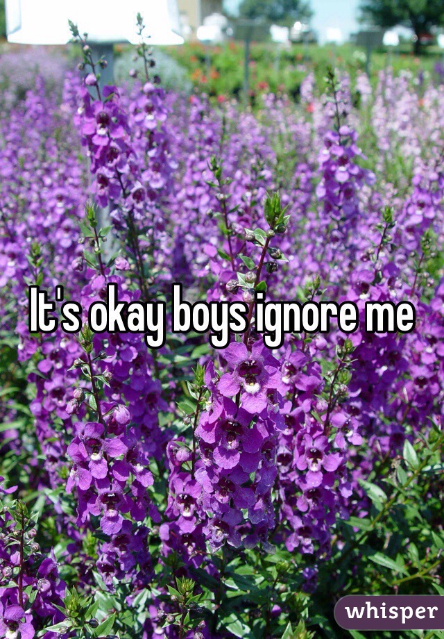 It's okay boys ignore me 