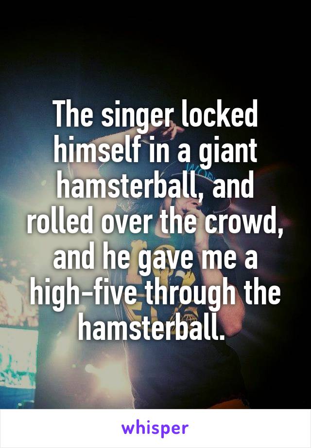 The singer locked himself in a giant hamsterball, and rolled over the crowd, and he gave me a high-five through the hamsterball. 