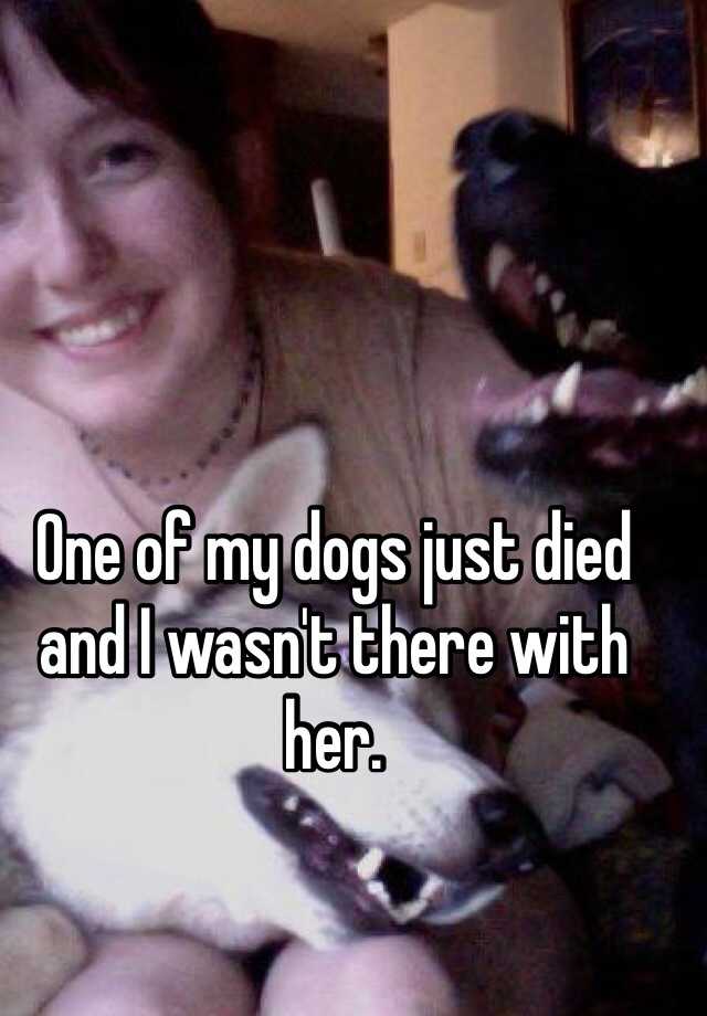 One of my dogs just died and I wasn't there with her.
