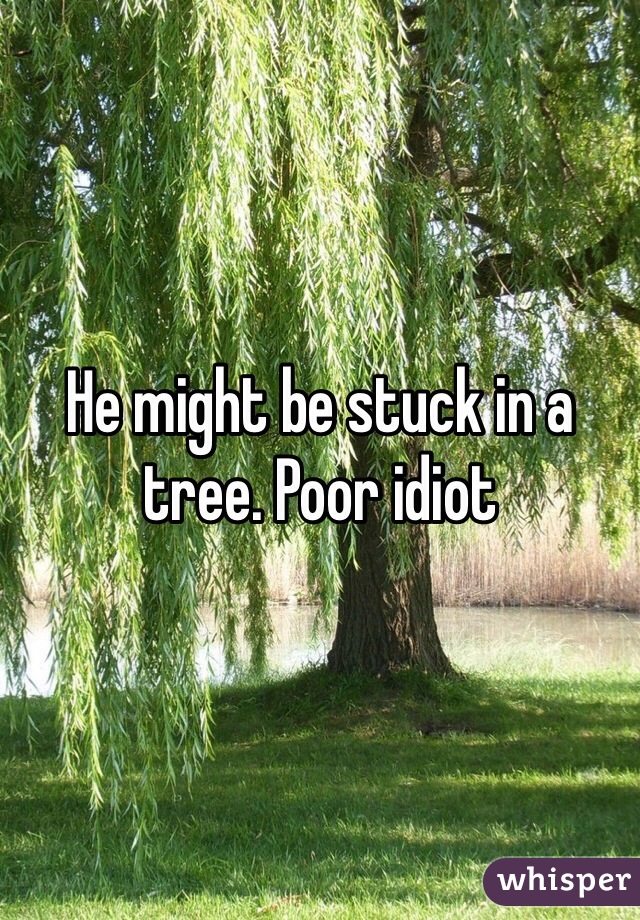 He might be stuck in a tree. Poor idiot