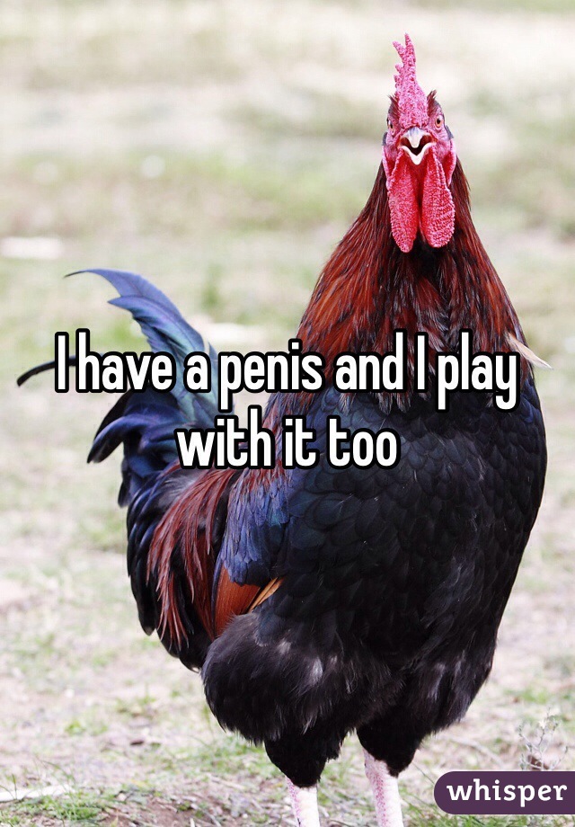 I have a penis and I play with it too