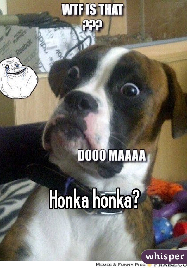 Honka honka?