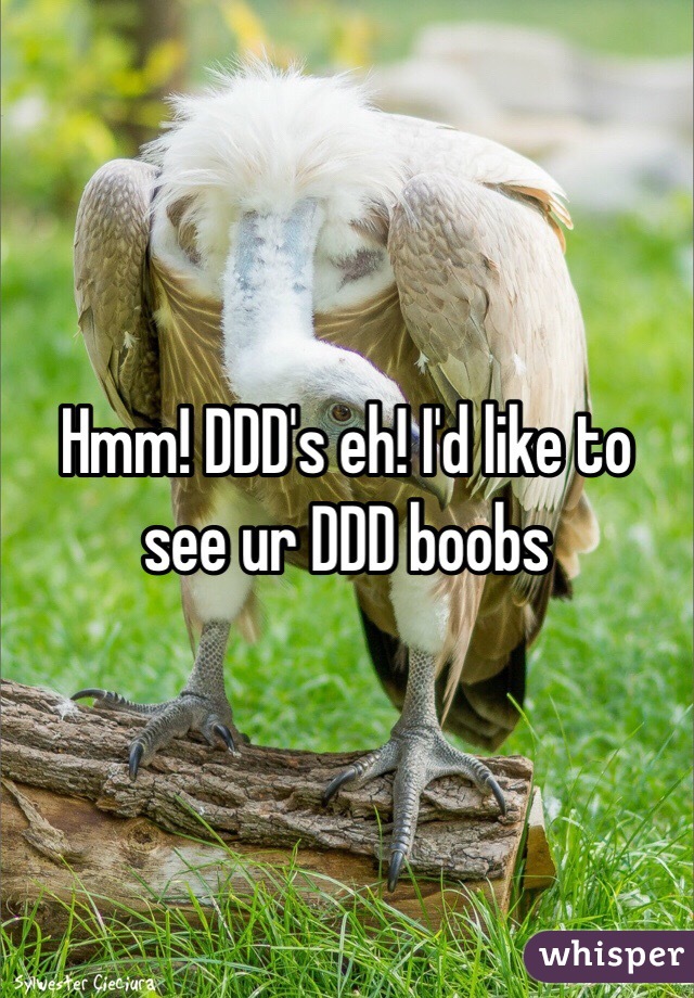 Hmm! DDD's eh! I'd like to see ur DDD boobs