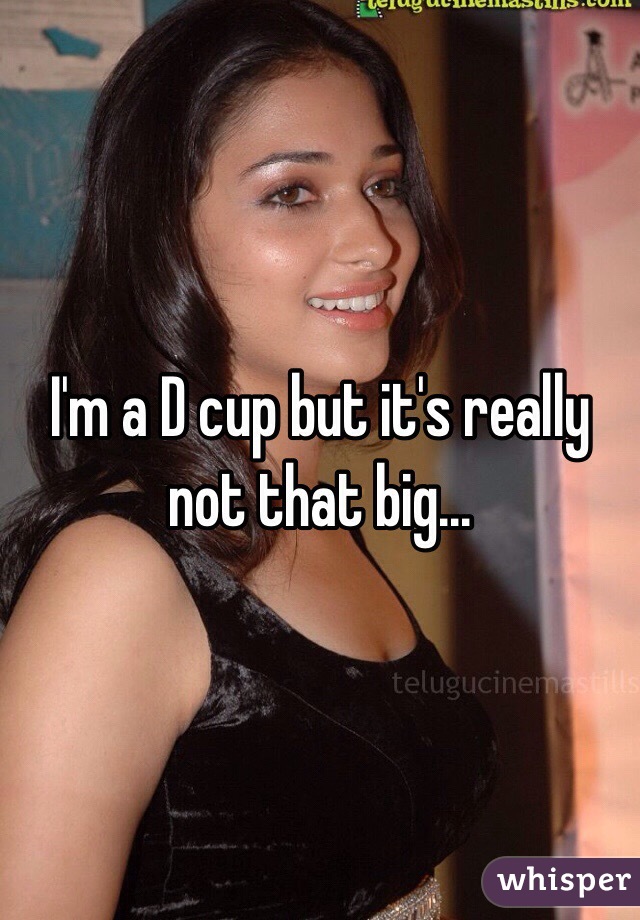 I'm a D cup but it's really not that big...