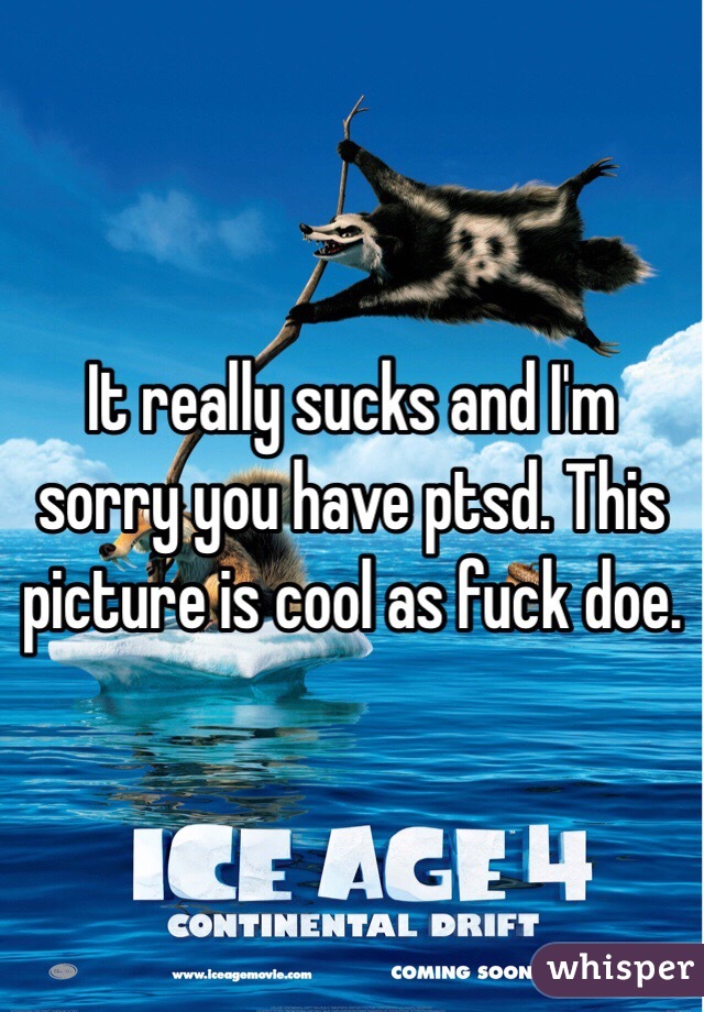 It really sucks and I'm sorry you have ptsd. This picture is cool as fuck doe.