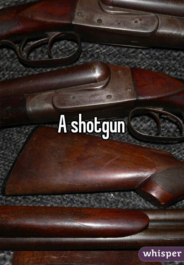 A shotgun