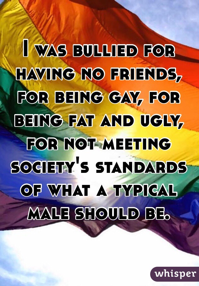 I was bullied for having no friends, for being gay, for being fat and ugly, for not meeting society's standards of what a typical male should be. 