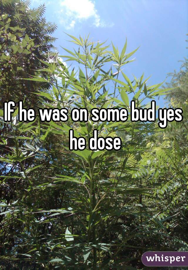 If he was on some bud yes he dose