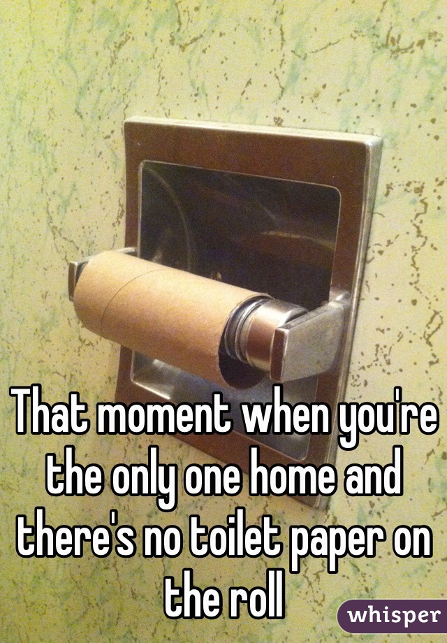 That moment when you're the only one home and there's no toilet paper on the roll