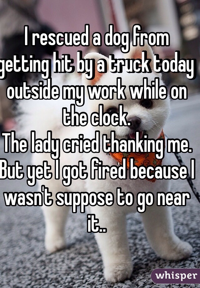 I rescued a dog from getting hit by a truck today outside my work while on the clock.
The lady cried thanking me.
But yet I got fired because I wasn't suppose to go near it..