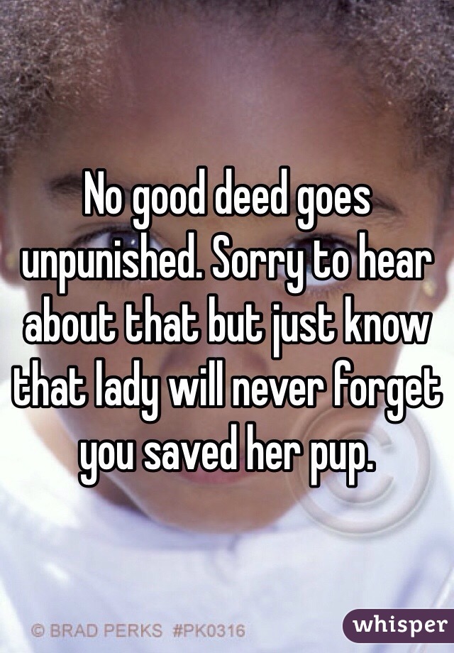 No good deed goes unpunished. Sorry to hear about that but just know that lady will never forget you saved her pup.