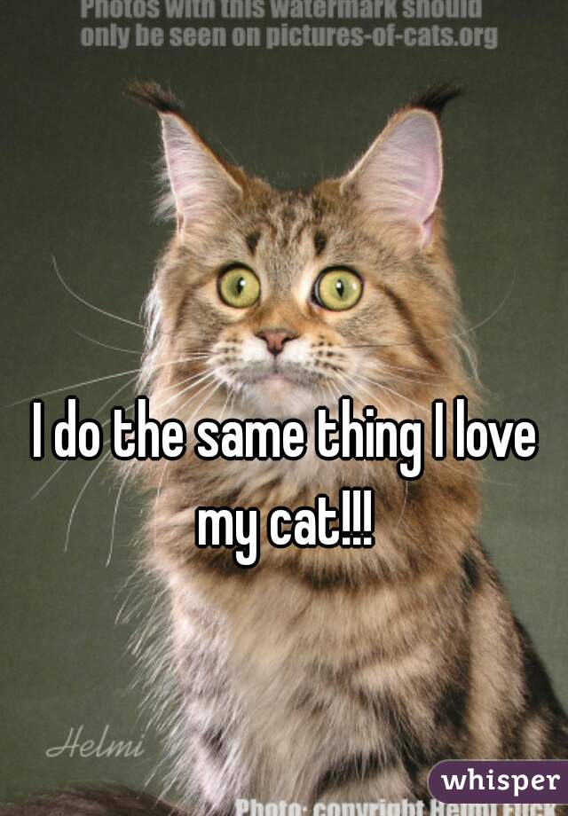 I do the same thing I love my cat!!! 