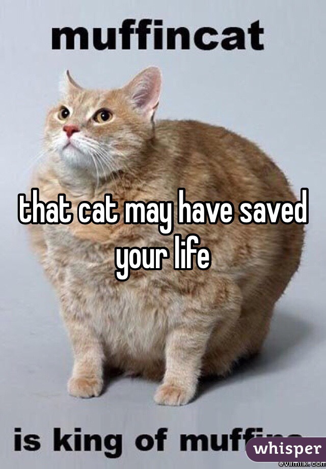 that cat may have saved your life