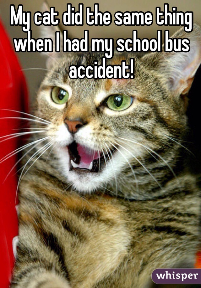 My cat did the same thing when I had my school bus accident!