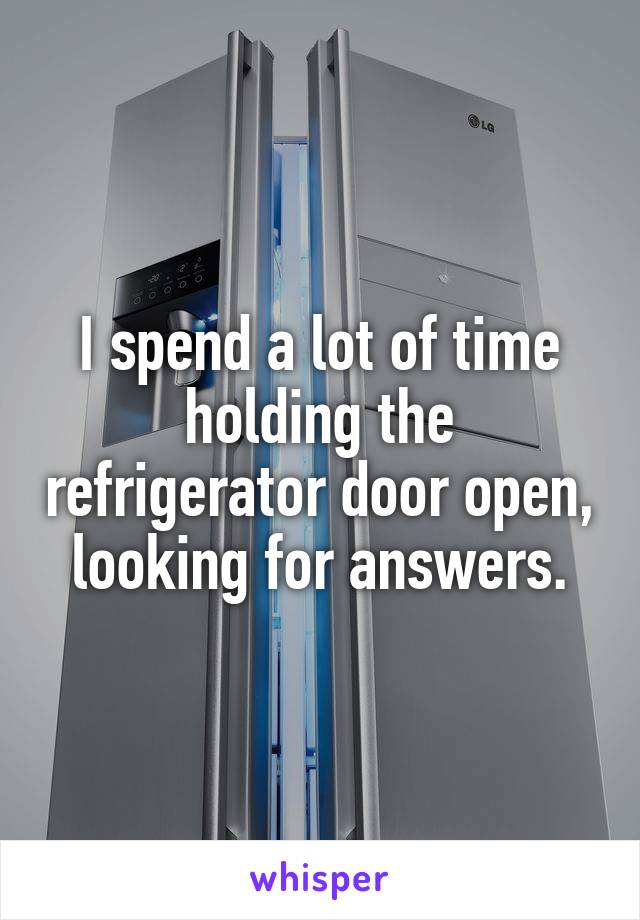 I spend a lot of time holding the refrigerator door open, looking for answers.