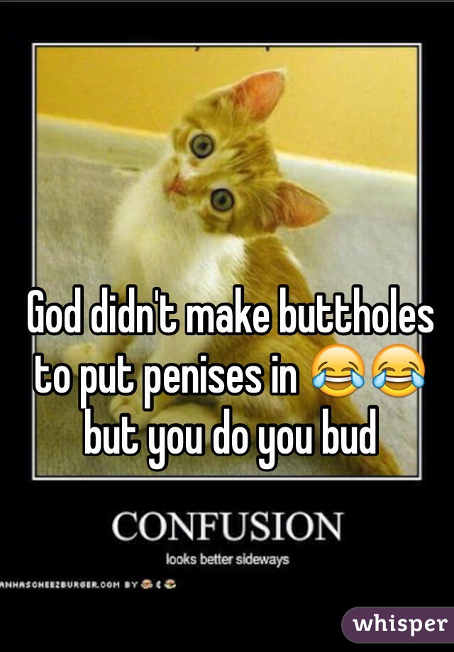 God didn't make buttholes to put penises in 😂😂 but you do you bud 