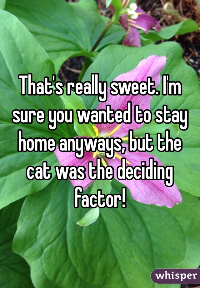 That's really sweet. I'm sure you wanted to stay home anyways, but the cat was the deciding factor!