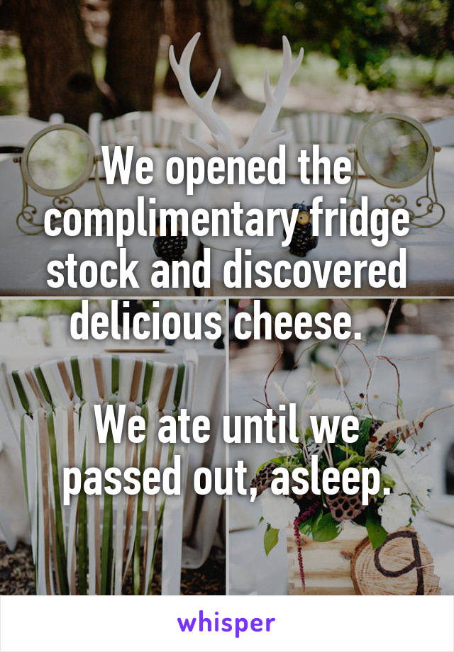 We opened the complimentary fridge stock and discovered delicious cheese.  

We ate until we passed out, asleep.