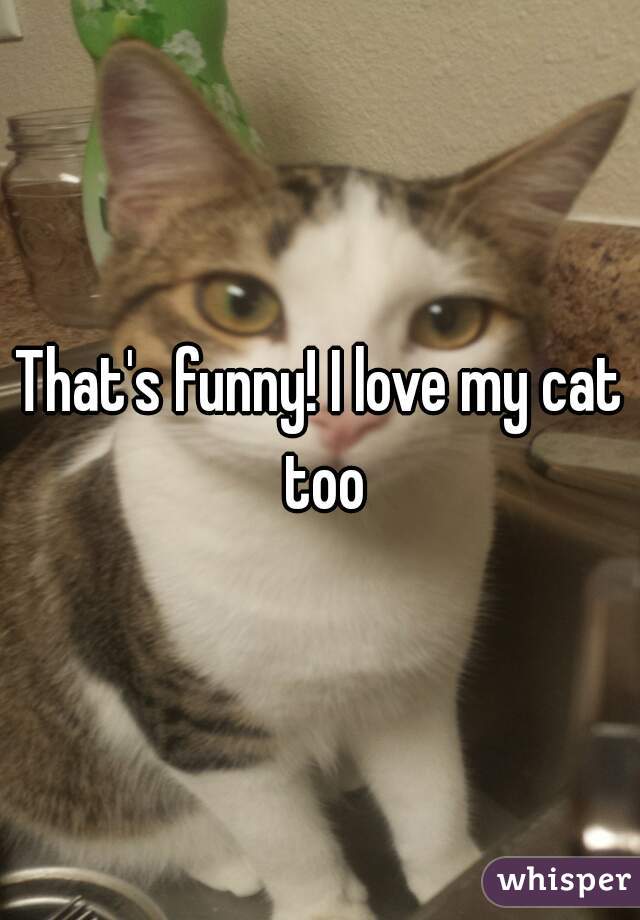 That's funny! I love my cat too