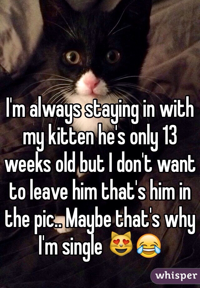 I'm always staying in with my kitten he's only 13 weeks old but I don't want to leave him that's him in the pic.. Maybe that's why I'm single 😻😂