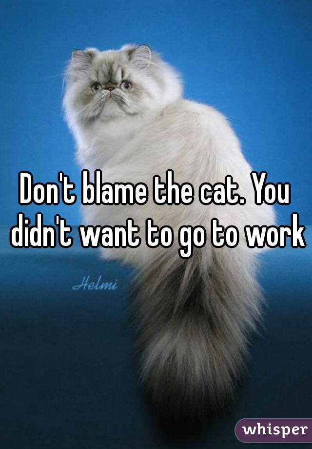 Don't blame the cat. You didn't want to go to work