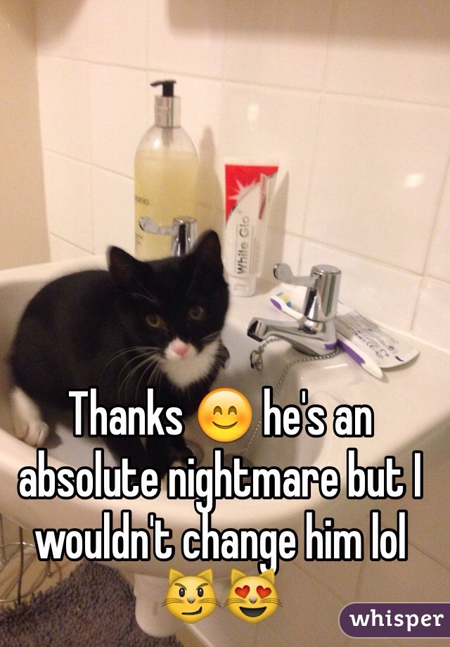 Thanks 😊 he's an absolute nightmare but I wouldn't change him lol 😼😻