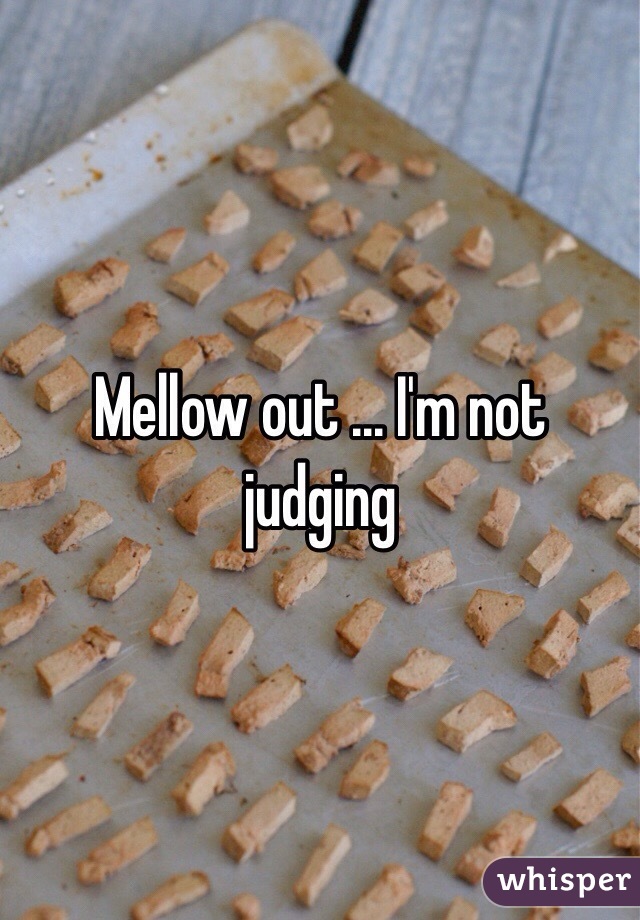 Mellow out ... I'm not judging 