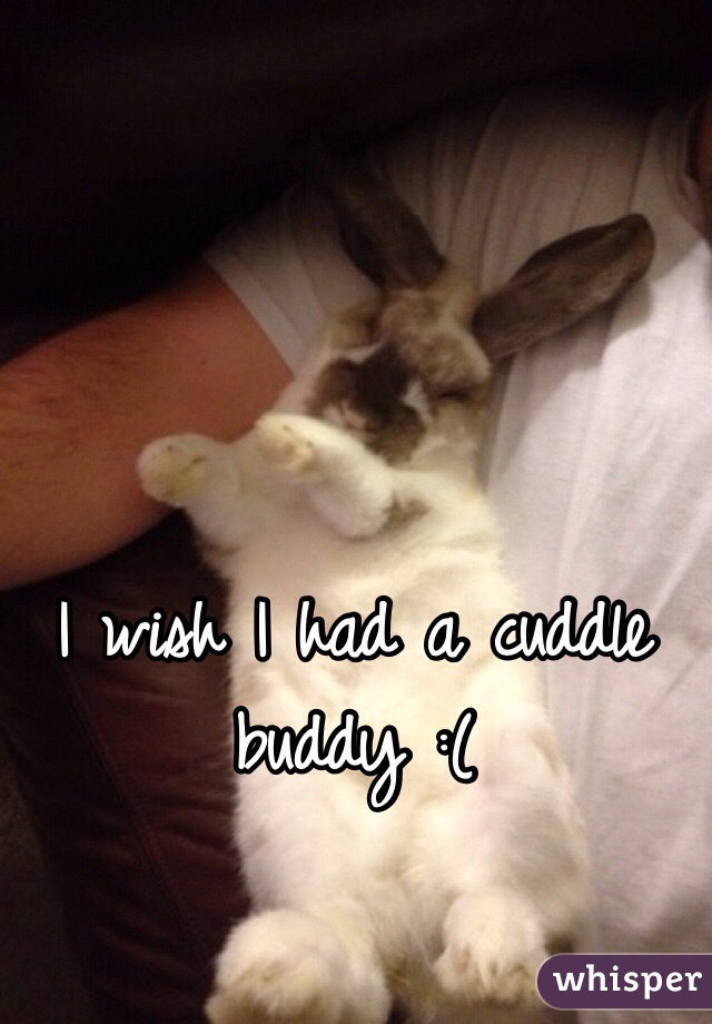 I wish I had a cuddle buddy :( 