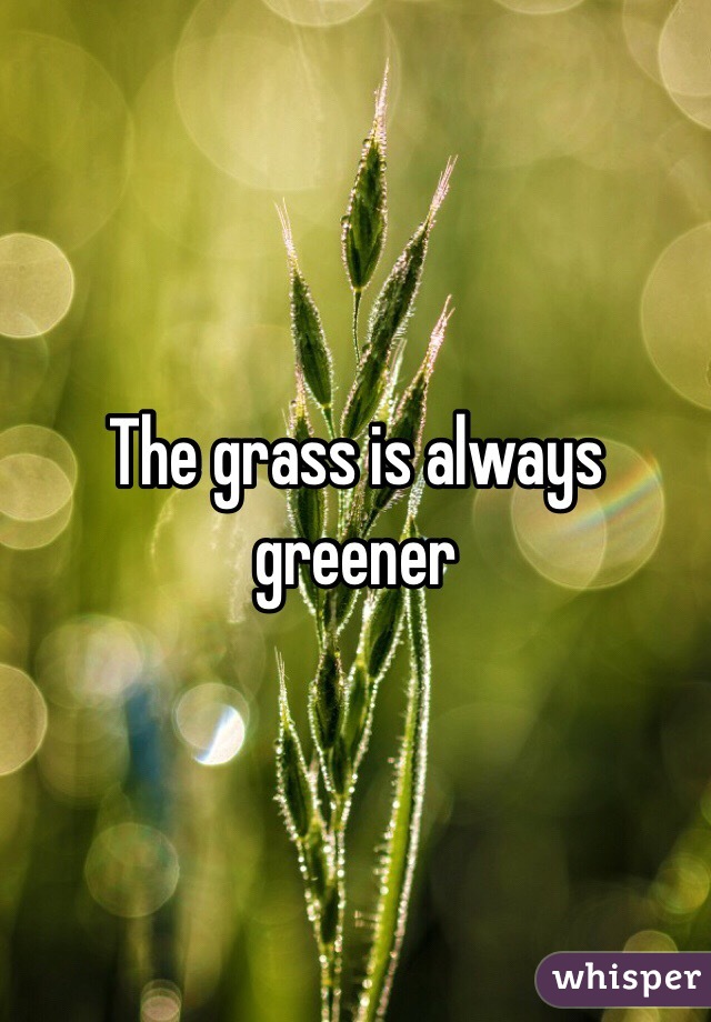 The grass is always greener 