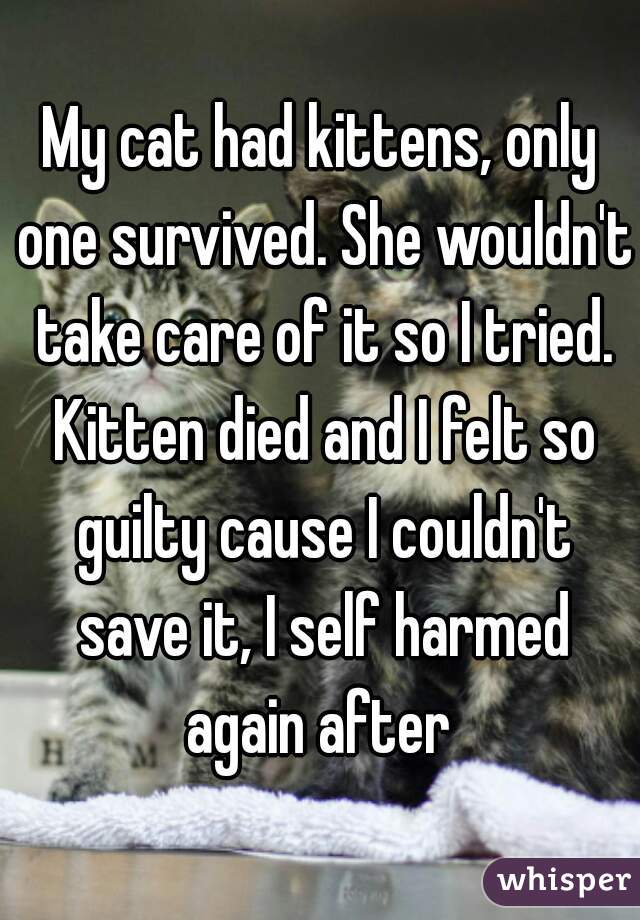 My cat had kittens, only one survived. She wouldn't take care of it so I tried. Kitten died and I felt so guilty cause I couldn't save it, I self harmed again after 