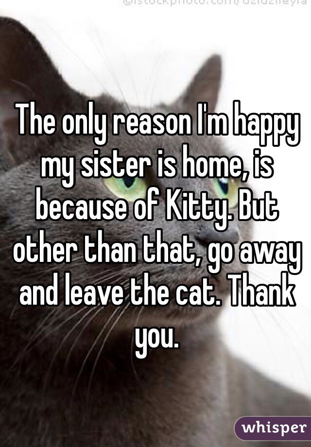 The only reason I'm happy my sister is home, is because of Kitty. But other than that, go away and leave the cat. Thank you. 