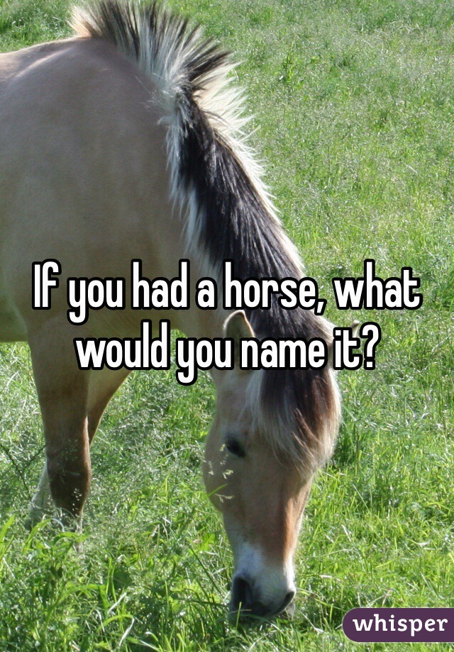 If you had a horse, what would you name it? 