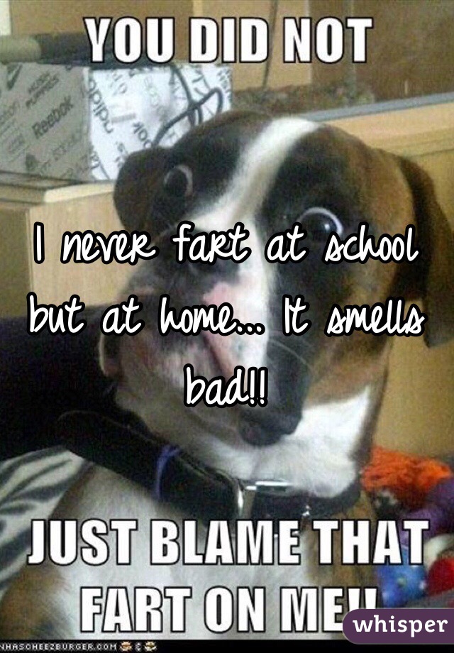 I never fart at school but at home... It smells bad!!