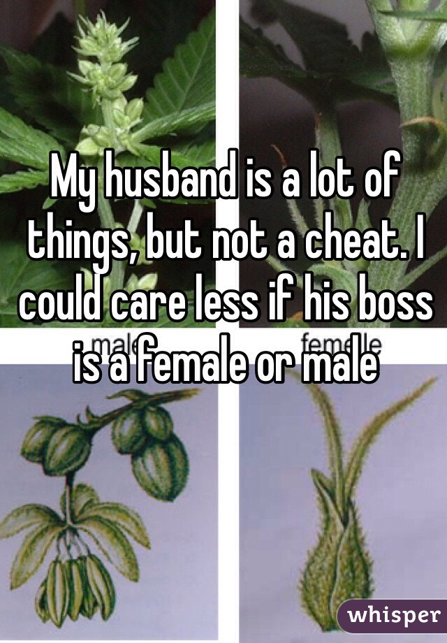 My husband is a lot of things, but not a cheat. I could care less if his boss is a female or male 