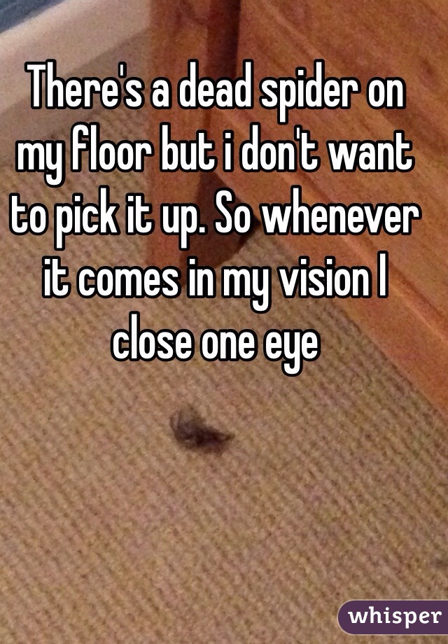 There's a dead spider on my floor but i don't want to pick it up. So whenever it comes in my vision I close one eye