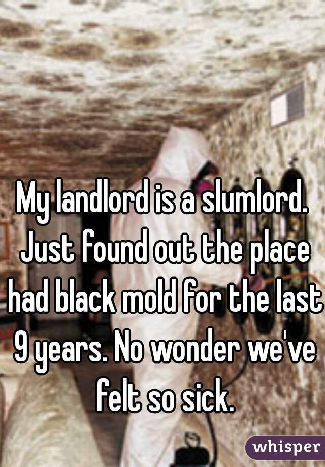 My landlord is a slumlord. Just found out the place had black mold for the last 9 years. No wonder we've felt so sick.