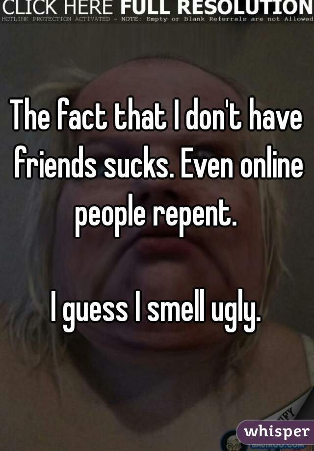 The fact that I don't have friends sucks. Even online people repent. 

I guess I smell ugly.