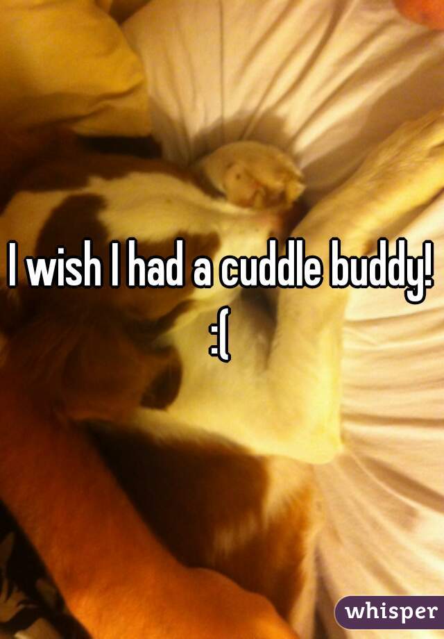 I wish I had a cuddle buddy! :( 