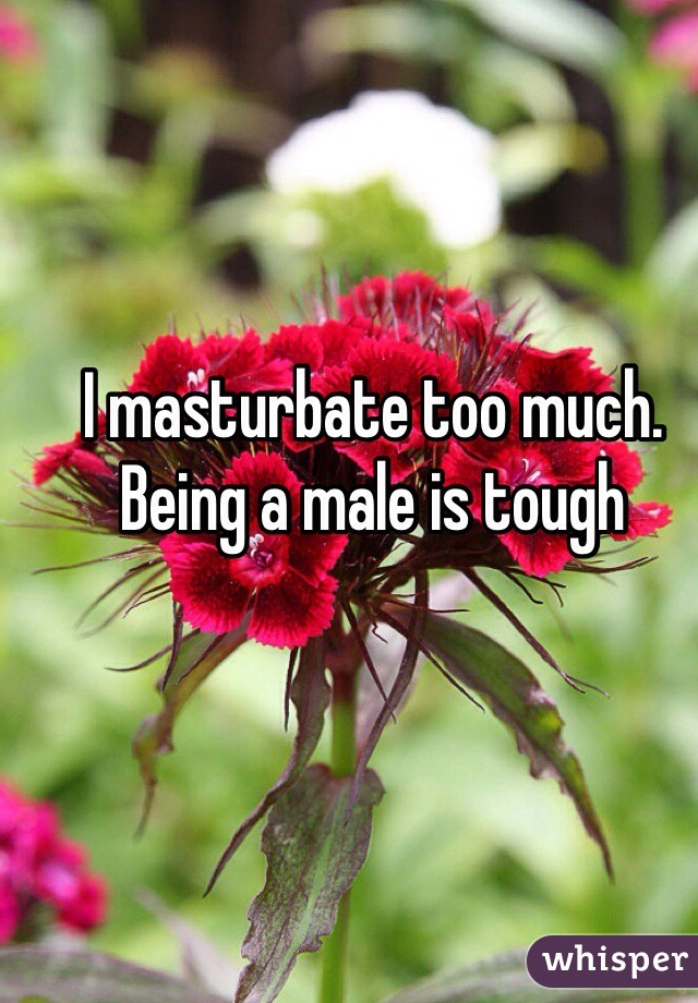 I masturbate too much. Being a male is tough 