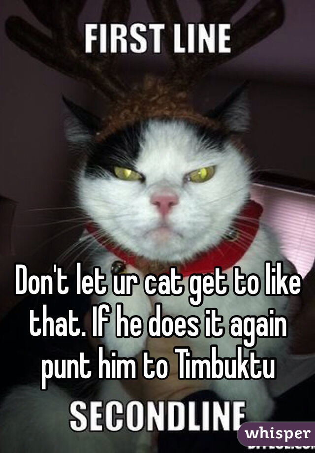 Don't let ur cat get to like that. If he does it again punt him to Timbuktu 