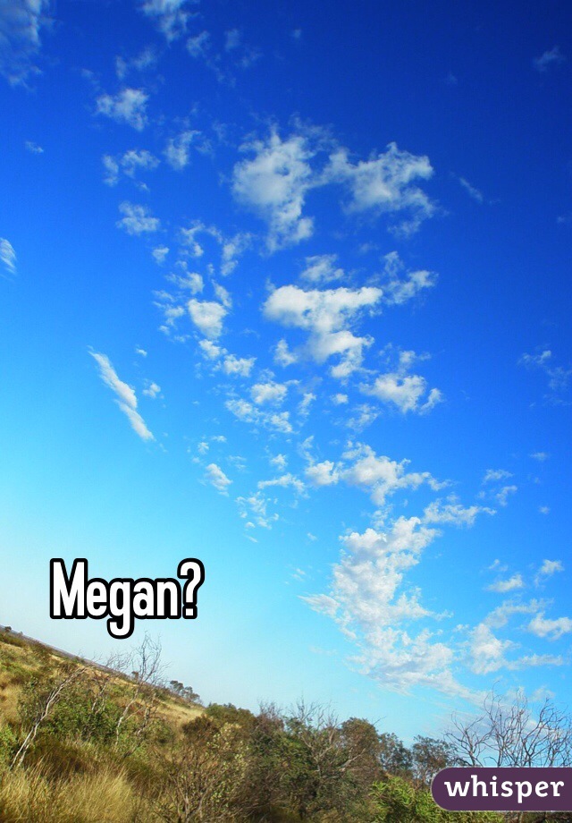 Megan?