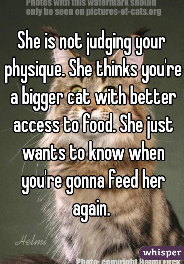 She is not judging your physique. She thinks you're a bigger cat with better access to food. She just wants to know when you're gonna feed her again. 