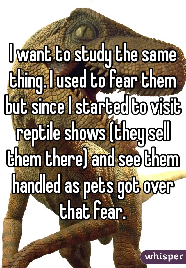 I want to study the same thing. I used to fear them but since I started to visit reptile shows (they sell them there) and see them handled as pets got over that fear.