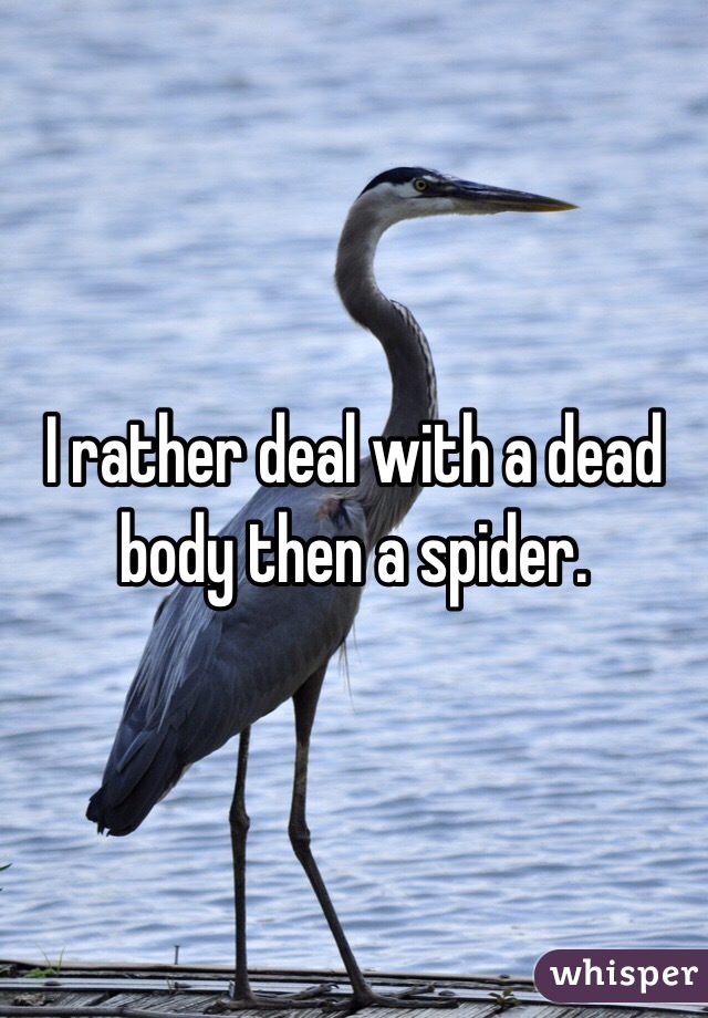 I rather deal with a dead body then a spider. 