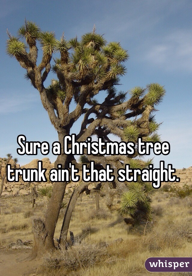 Sure a Christmas tree trunk ain't that straight.