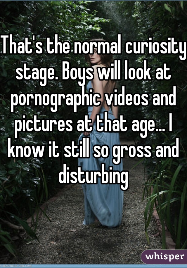 That's the normal curiosity stage. Boys will look at pornographic videos and pictures at that age... I know it still so gross and disturbing