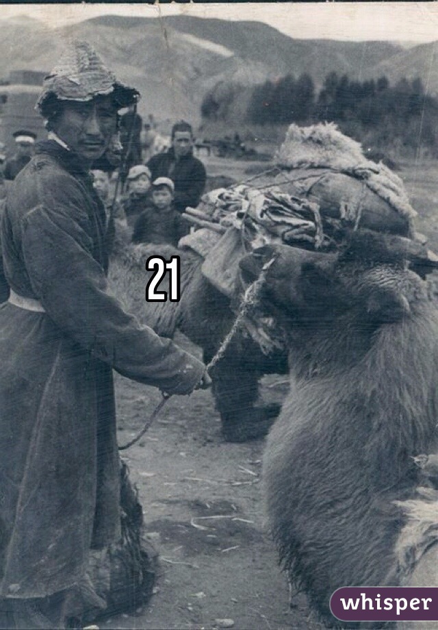 21